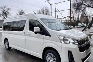 Private Transfers in Tashkent